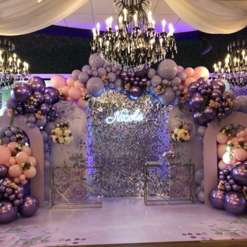 Birthday(silver party)