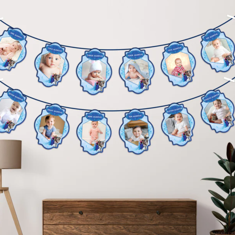 PSI Frozen Theme 12 Months Photo Banner